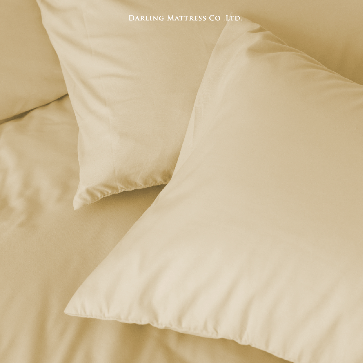 ชุดผ้าปูผ้านวม 6 ฟุต DARLING MATTRESS รุ่นสีพื้น สีแซนด์_2
